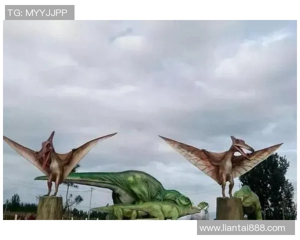 武汉极限运动队的耐力挑战与激情探秘之旅