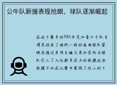 公牛队新援表现抢眼，球队逐渐崛起