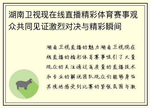 湖南卫视现在线直播精彩体育赛事观众共同见证激烈对决与精彩瞬间